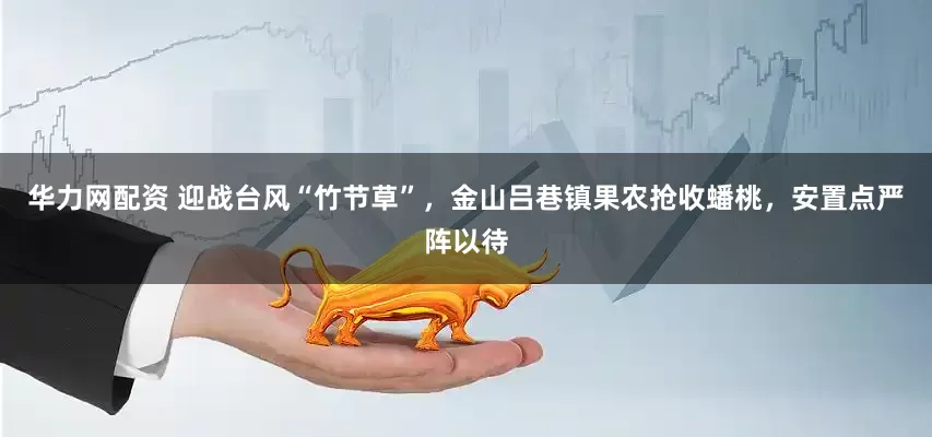 华力网配资 迎战台风“竹节草”，金山吕巷镇果农抢收蟠桃，安置点严阵以待